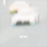 16085.gif