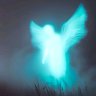 Aqua_Youkazzy