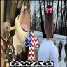 Konstantin_Berdyugin