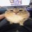 Hever_Moon