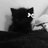 Max_Dasyning